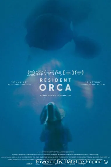 Резидентная косатка