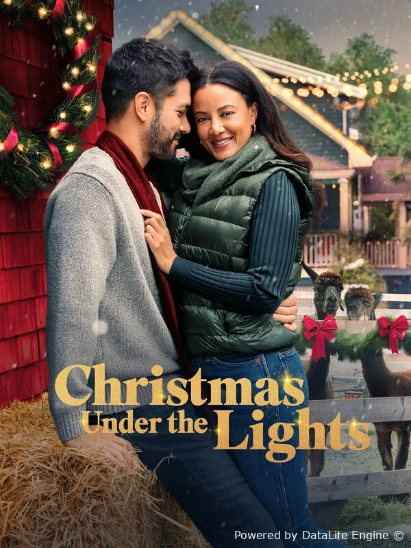 Рождество под огнями