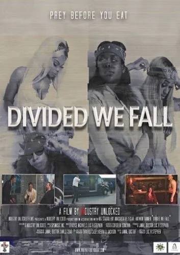 Divided We Fall