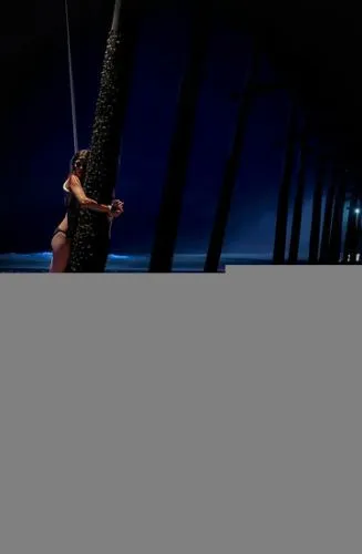 Расчленитель 2