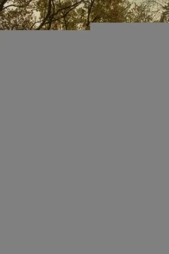 Безымянные