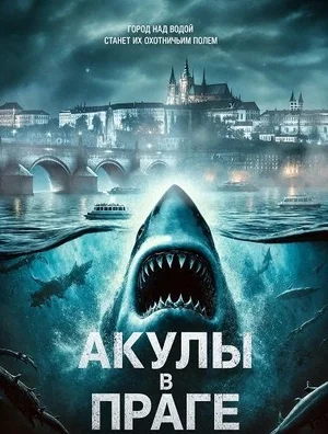 Акулы в Праге
