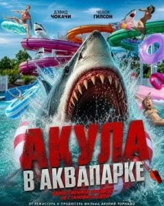 Акула в аквапарке